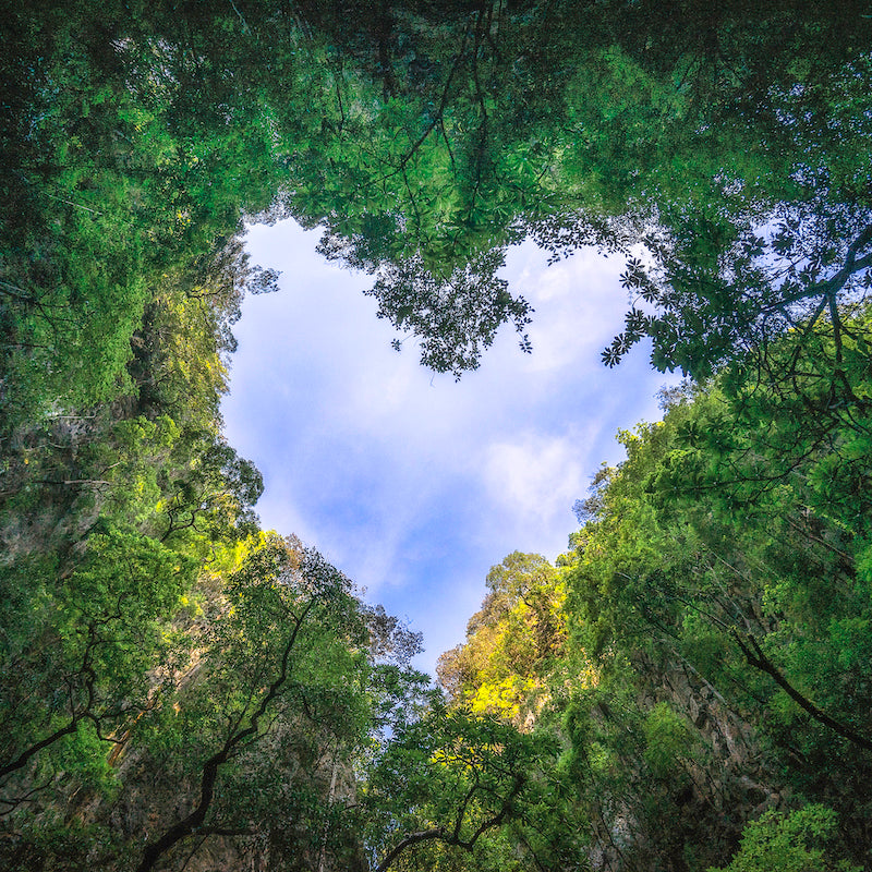 Our shipping is now carbon-neutral!