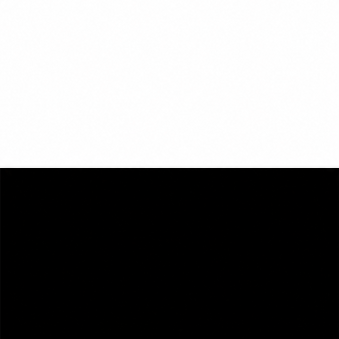 black and white colour swatch