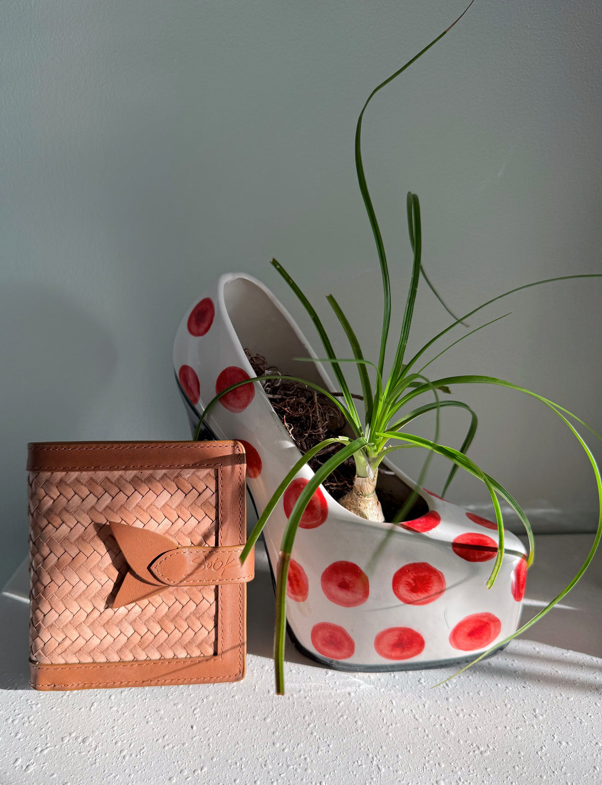 Lumi - Handwoven Leather Wallet | Brown & Taupe displayed next to a ceramic planter with red polka dots and a green plant inside.