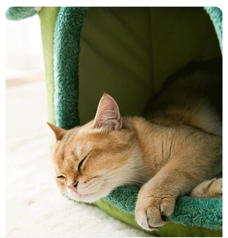 Soft House Cat and Dog Bed - - San Rocco Italia