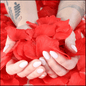 Rose Petals - Premium Add on - Just €4.95! Shop now at San Rocco Italia