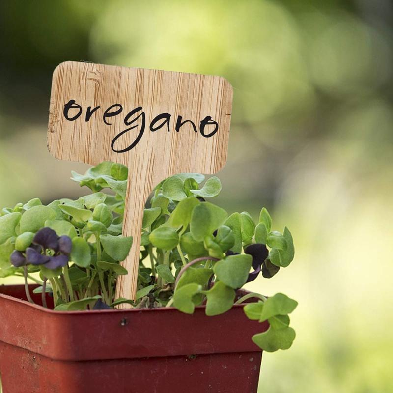 Bamboo Plant Markers - Premium Garden - Just €10.95! Shop now at San Rocco Italia