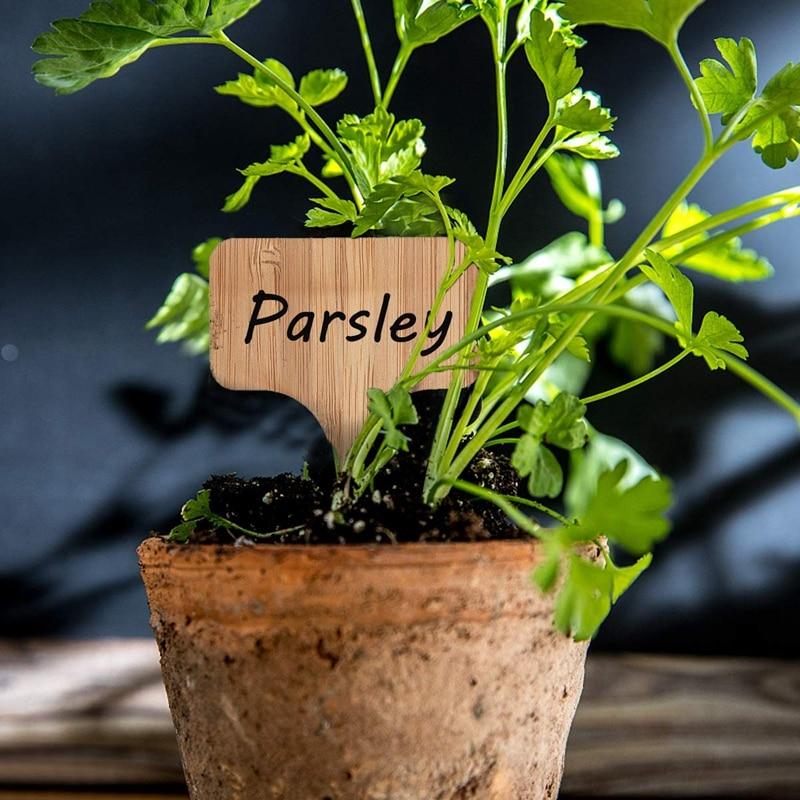 Bamboo Plant Markers - Premium Garden - Just €10.95! Shop now at San Rocco Italia