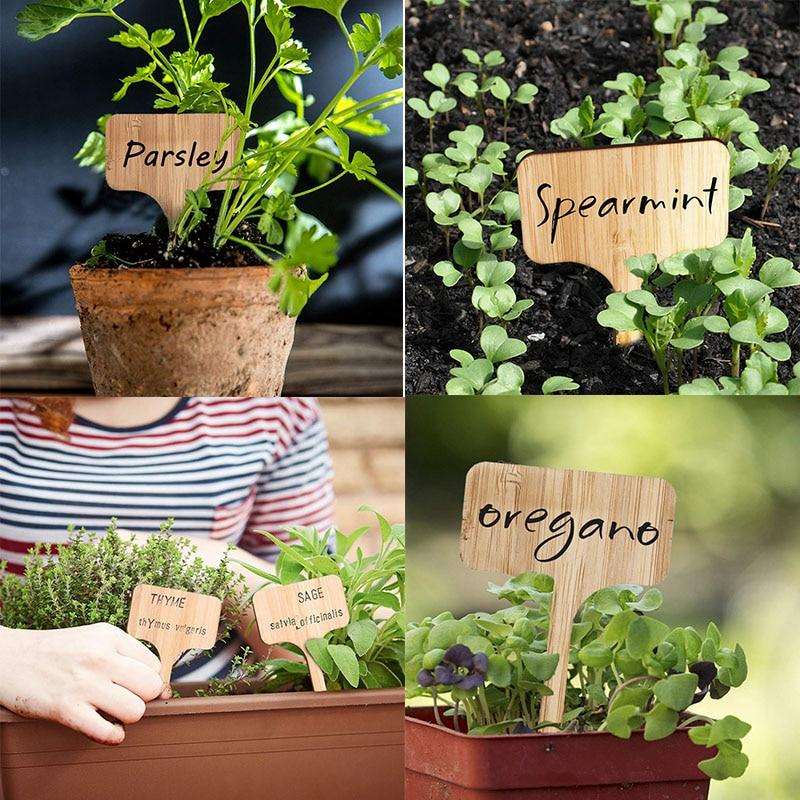 Bamboo Plant Markers - Premium Garden - Just €10.95! Shop now at San Rocco Italia