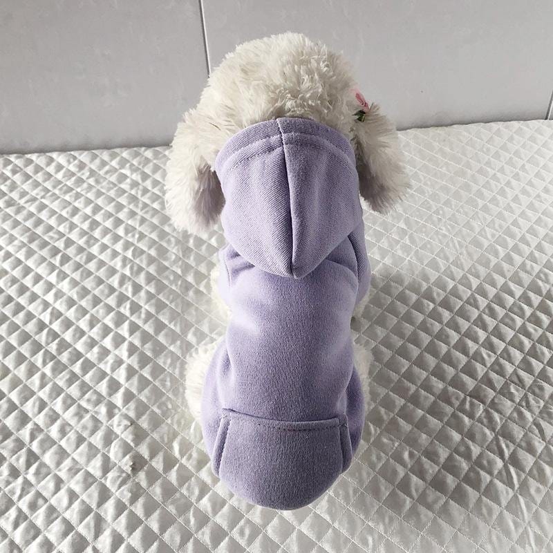Cotton Pet Hoodie - Premium Pet Clothing - Just €13.95! Shop now at San Rocco Italia