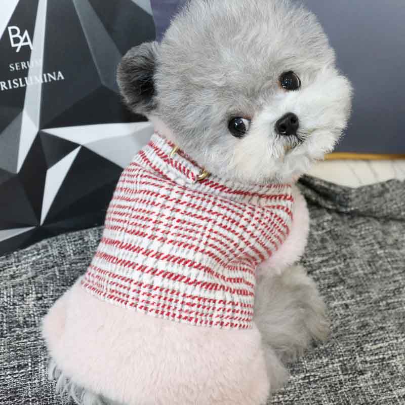 Plush Lined Pet Coat - Premium Pet Clothing - Just €29.95! Shop now at San Rocco Italia