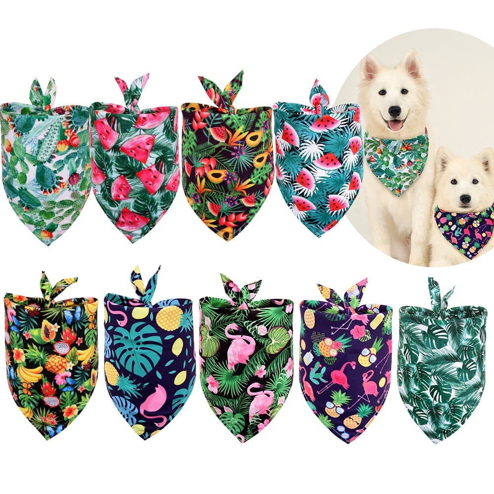 Tropical Pet Bandanas - San Rocco Italia