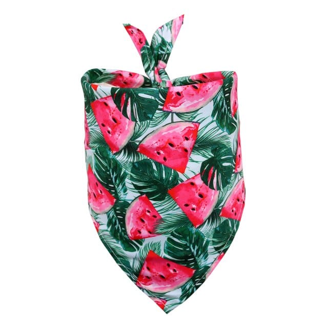 Tropical Pet Bandanas - San Rocco Italia