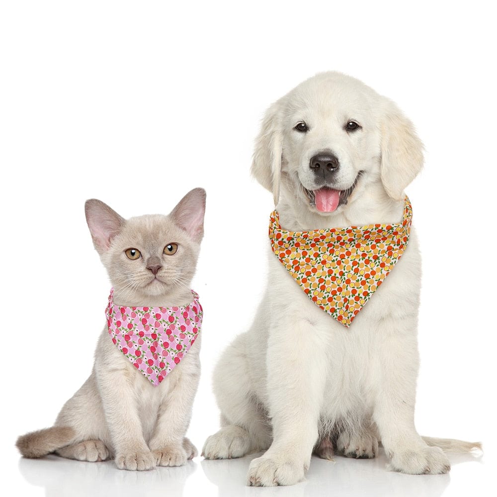 Tutti Frutti Pet Bandanas - San Rocco Italia