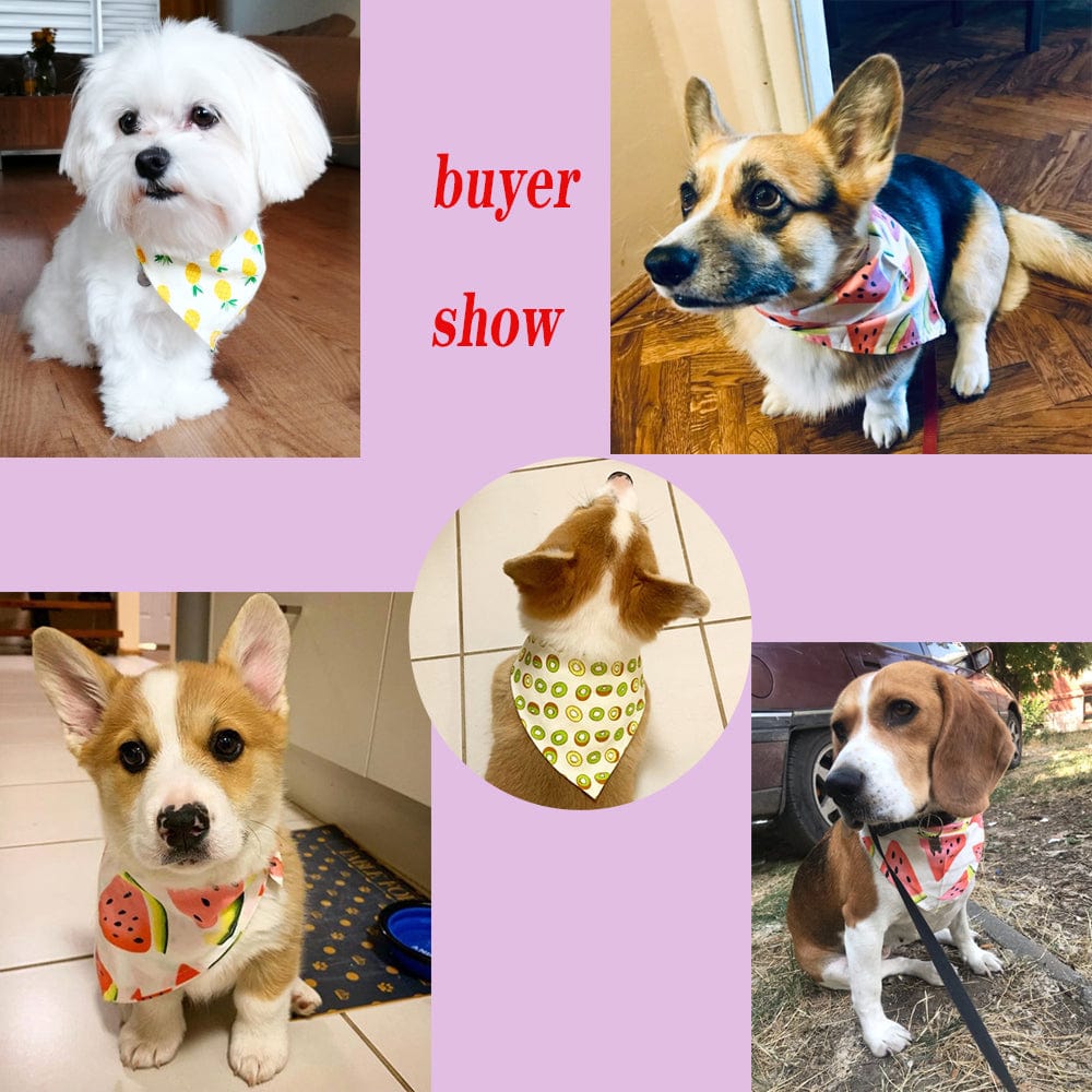 Tutti Frutti Pet Bandanas - San Rocco Italia