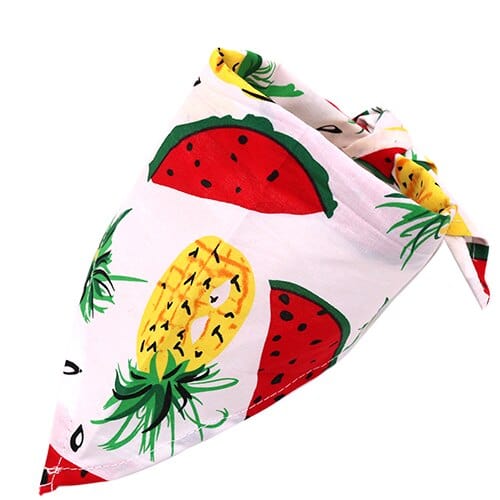 Tutti Frutti Pet Bandanas - San Rocco Italia