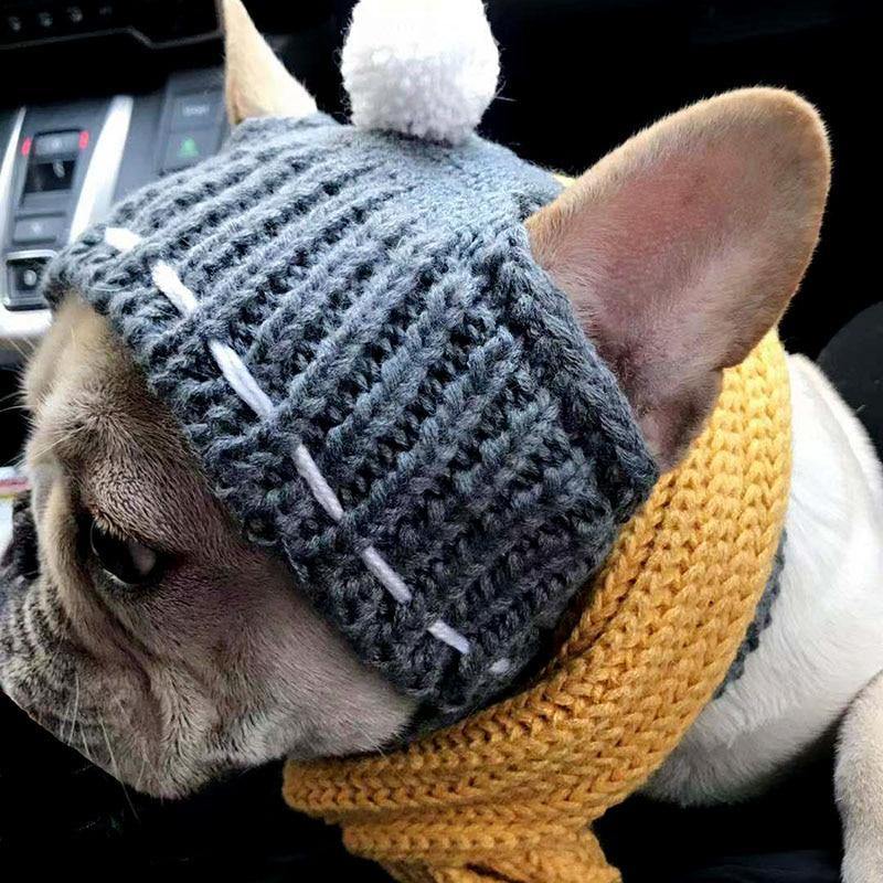 Winter Dog Hat - Premium Pet Clothing - Just €24.95! Shop now at San Rocco Italia
