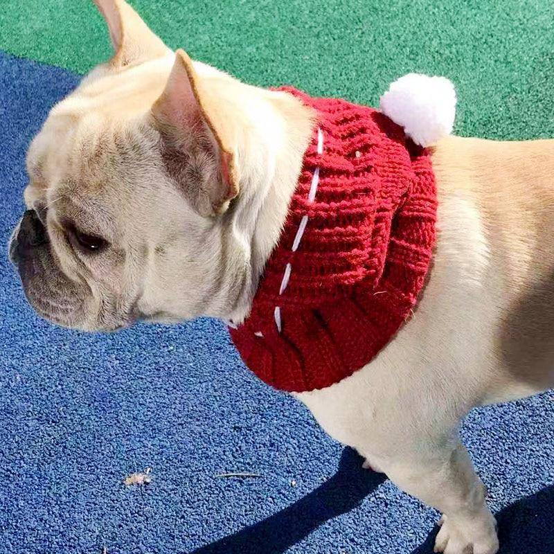 Winter Dog Hat - Premium Pet Clothing - Just €24.95! Shop now at San Rocco Italia