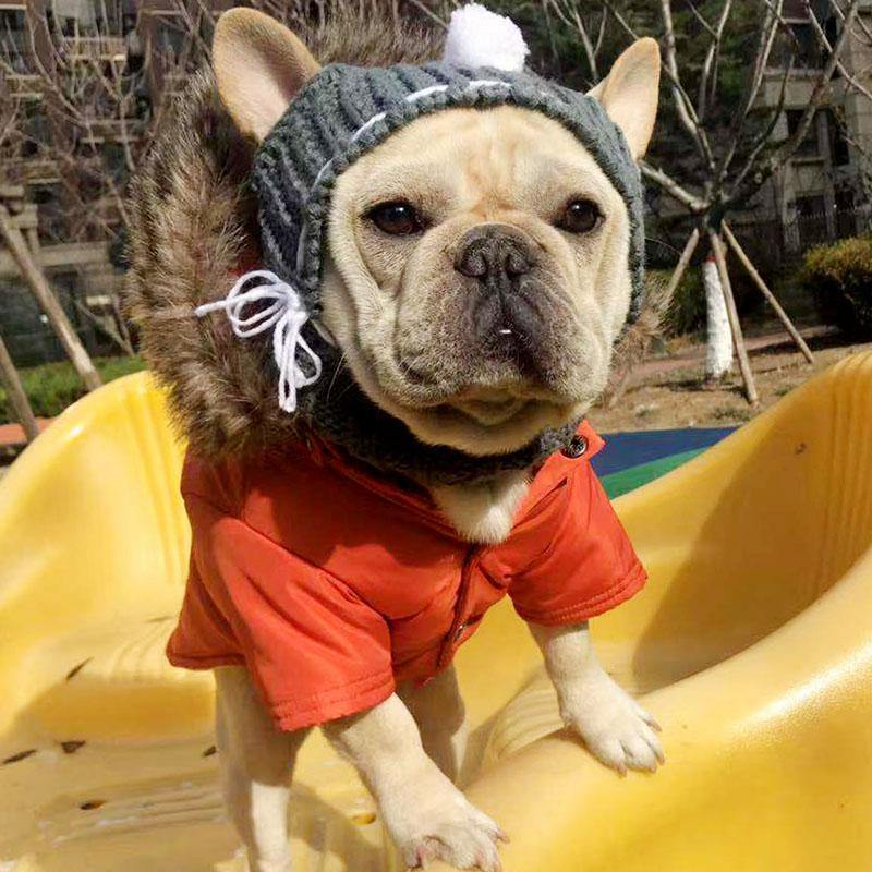 Winter Dog Hat - Premium Pet Clothing - Just €24.95! Shop now at San Rocco Italia