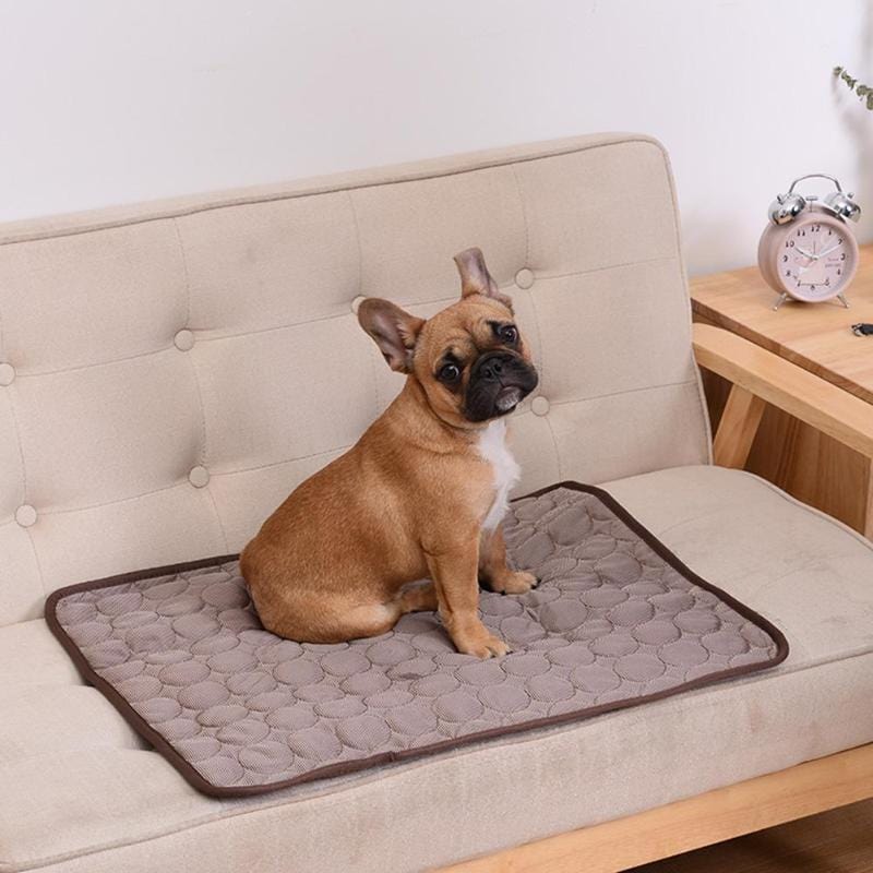 Pet Cooling Mat - XS to XXL - Premium - Just €8.95! Shop now at San Rocco Italia