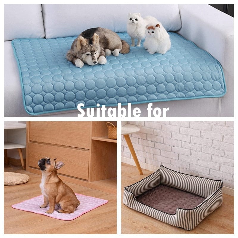 Pet Cooling Mat - XS to XXL - Premium - Just €8.95! Shop now at San Rocco Italia
