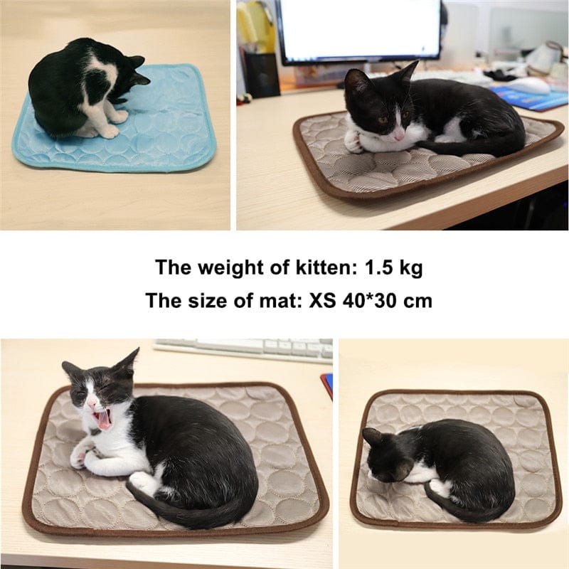 Pet Cooling Mat - XS to XXL - Premium - Just €8.95! Shop now at San Rocco Italia