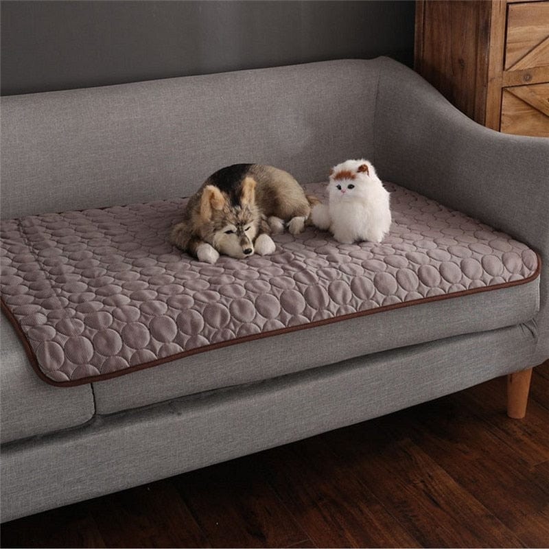 Pet Cooling Mat - XS to XXL - Premium - Just €8.95! Shop now at San Rocco Italia