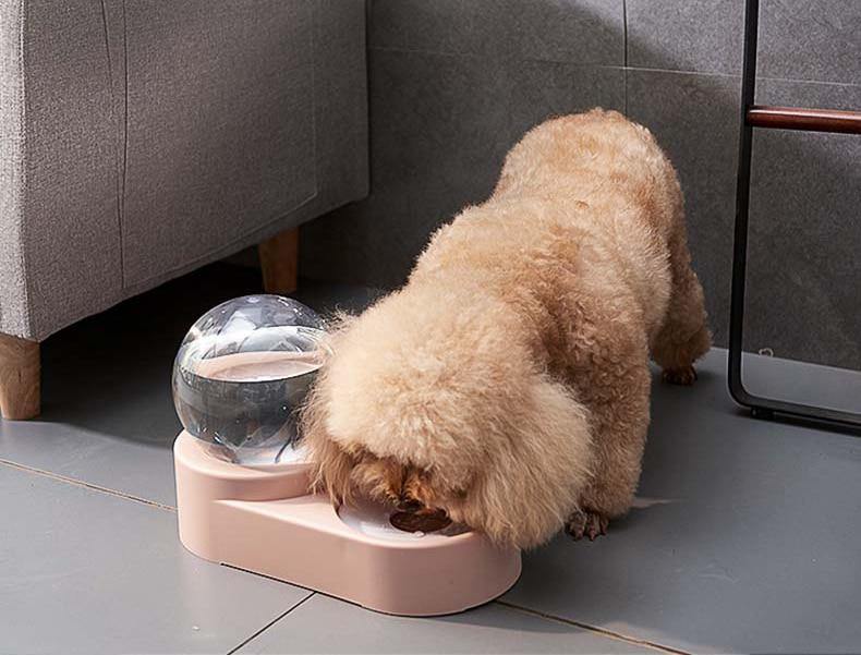2-in-1 Pet Feeder with Automatic Water Dispenser - Premium Pet products - Just €31.95! Shop now at San Rocco Italia
