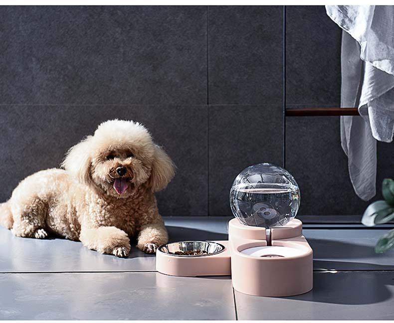 2-in-1 Pet Feeder with Automatic Water Dispenser - Premium Pet products - Just €31.95! Shop now at San Rocco Italia