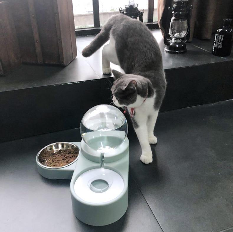 2-in-1 Pet Feeder with Automatic Water Dispenser - Premium Pet products - Just €31.95! Shop now at San Rocco Italia