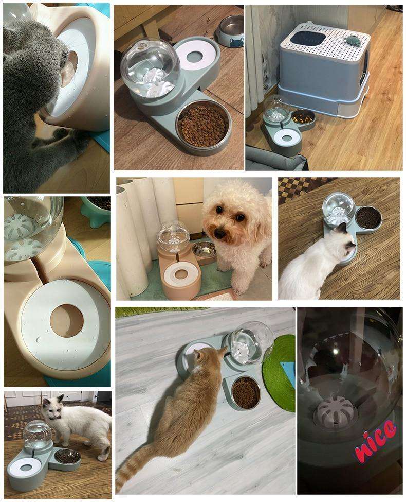 2-in-1 Pet Feeder with Automatic Water Dispenser - Premium Pet products - Just €31.95! Shop now at San Rocco Italia