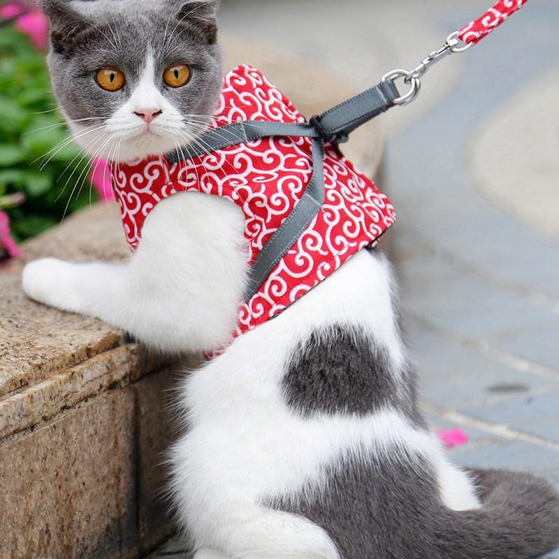 Cat Walking Jacket Harness and Leash - Premium Pet products - Just €31.95! Shop now at San Rocco Italia