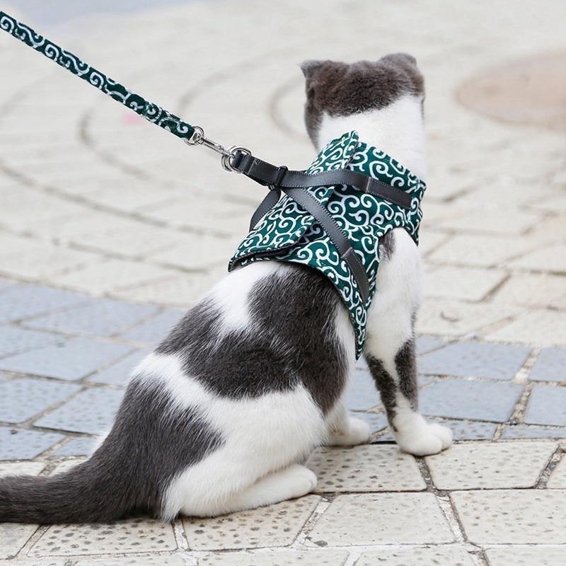 Cat Walking Jacket Harness and Leash - Premium Pet products - Just €31.95! Shop now at San Rocco Italia