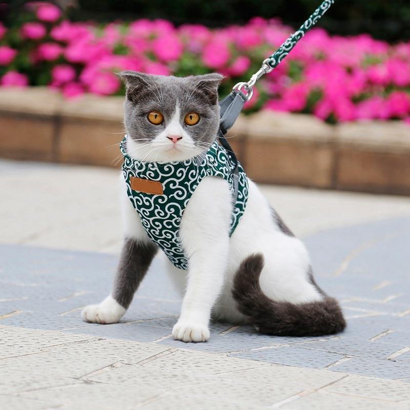Cat Walking Jacket Harness and Leash - Premium Pet products - Just €31.95! Shop now at San Rocco Italia
