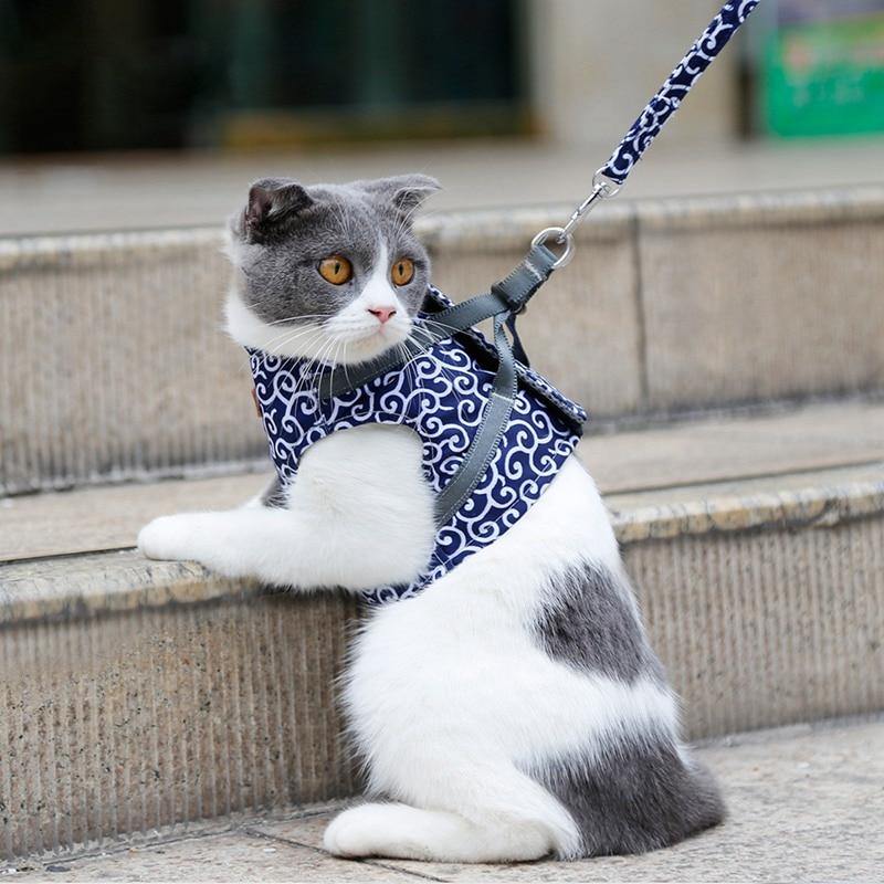 Cat Walking Jacket Harness and Leash - Premium Pet products - Just €31.95! Shop now at San Rocco Italia