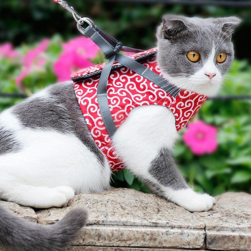 Cat Walking Jacket Harness and Leash - Premium Pet products - Just €31.95! Shop now at San Rocco Italia