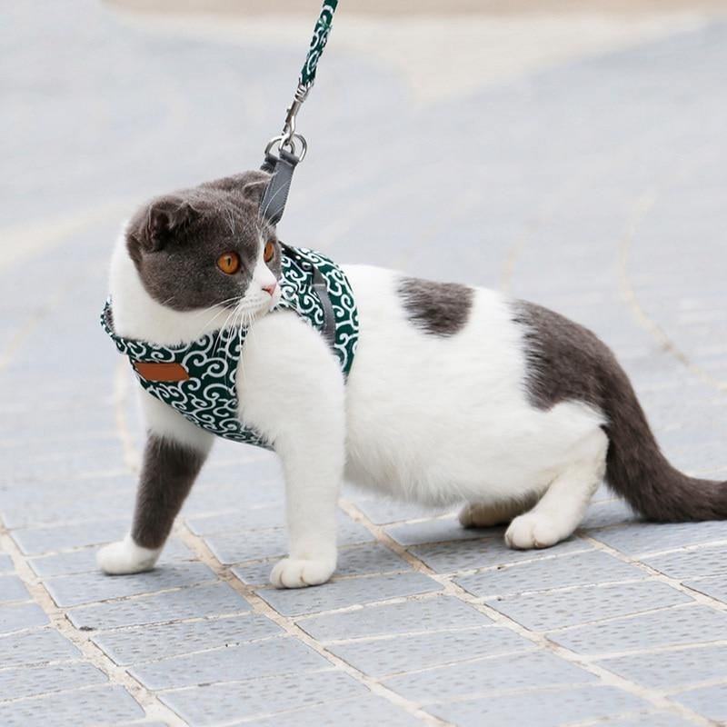 Cat Walking Jacket Harness and Leash - Premium Pet products - Just €31.95! Shop now at San Rocco Italia