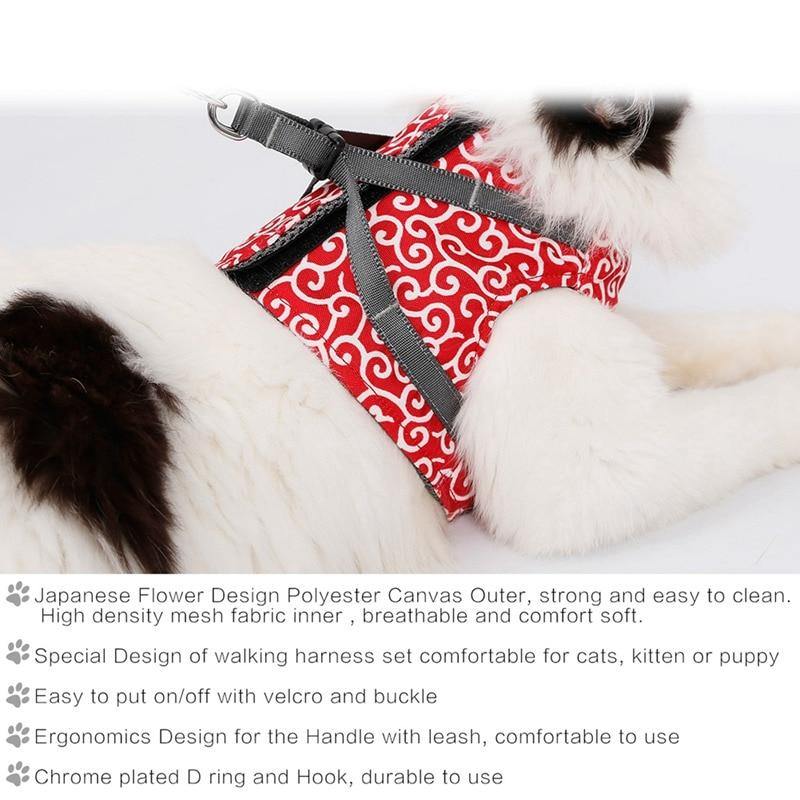 Cat Walking Jacket Harness and Leash - Premium Pet products - Just €31.95! Shop now at San Rocco Italia