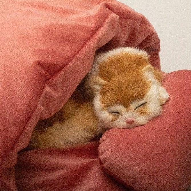 Cosy Winter Cat Bed with Pillow - Premium Pet products - Just €36.95! Shop now at San Rocco Italia