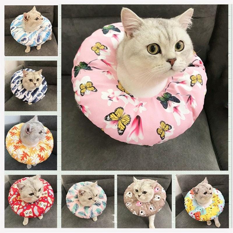 Soft Dog/Cat Recovery Collar - Premium Pet products - Just €8.95! Shop now at San Rocco Italia