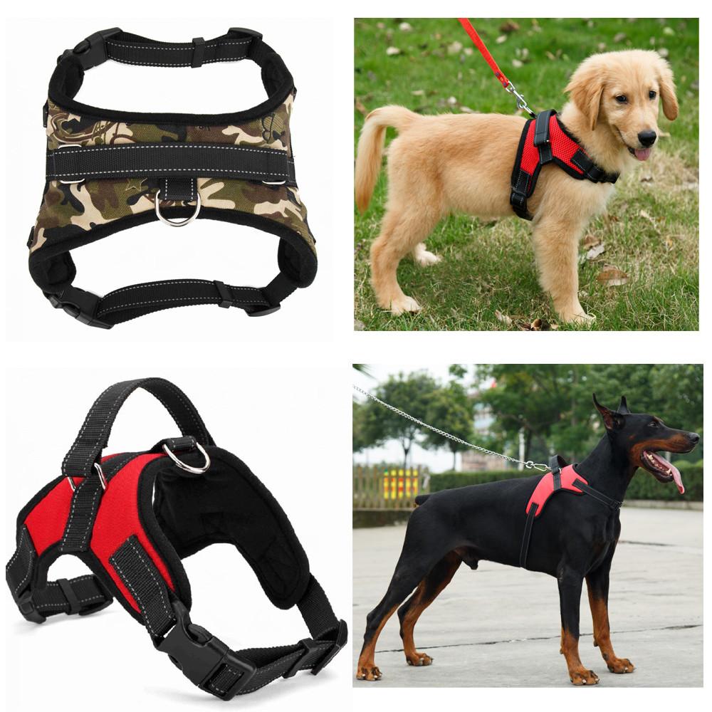 Heavy-Duty Dog Harness - Premium Pet products - Just €14.95! Shop now at San Rocco Italia