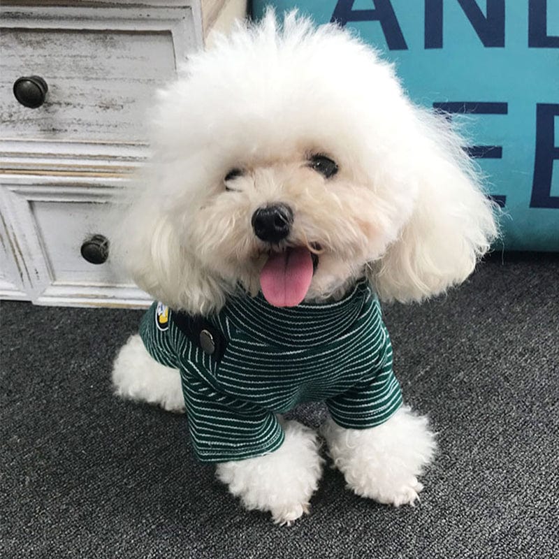 Striped Pet Pullover with Bum Bag - Premium Pet products - Just €20.95! Shop now at San Rocco Italia