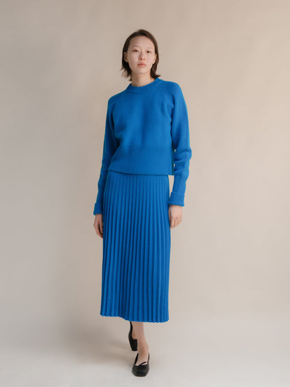 Cashmere Mix Pleated Skirt (3D-Knit)