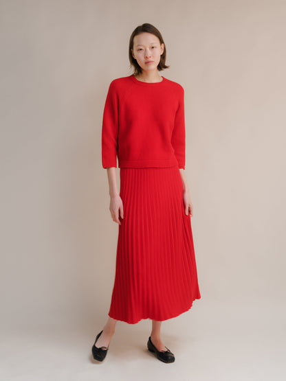 Cashmere Mix Pleated Skirt (3D-Knit)