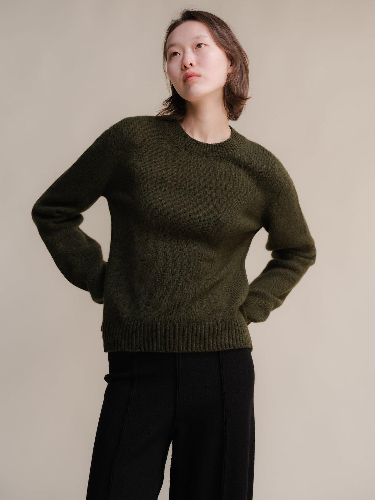 Pull ras du cou en pur cachemire