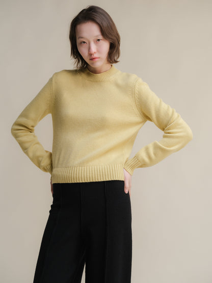 Pull ras du cou en pur cachemire