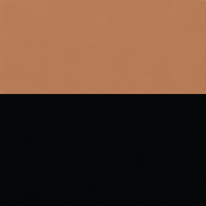 Two-tone tan and black color swatch