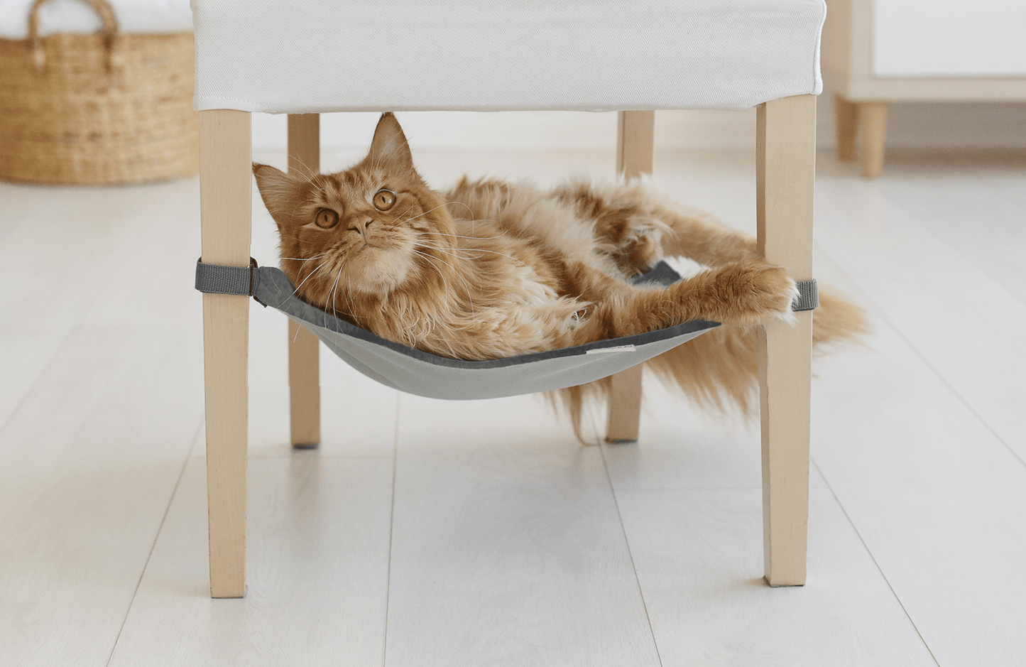 Rocky Coast Grey Pet Hammock - Premium Pet Beds - Shop now at San Rocco Italia