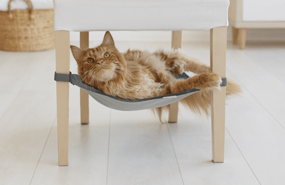 Rocky Coast Grey Pet Hammock - Premium Pet Beds - Shop now at San Rocco Italia