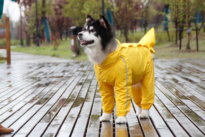 Premium raincoat hot sale