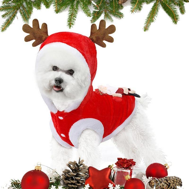 Holiday Pet Clothing -  www.sanroccoitalia.it - Pet Clothing
