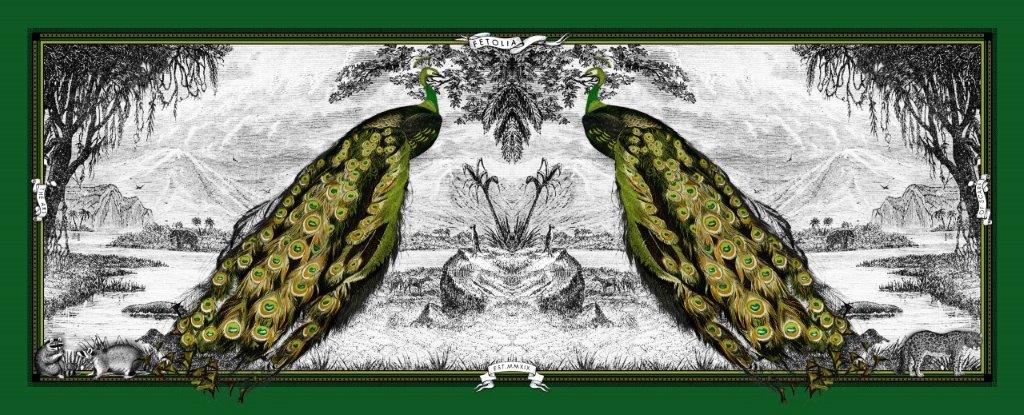 Peacock Feathers - Green Silk Scarf - Scarves & Bandanas - San Rocco Italia