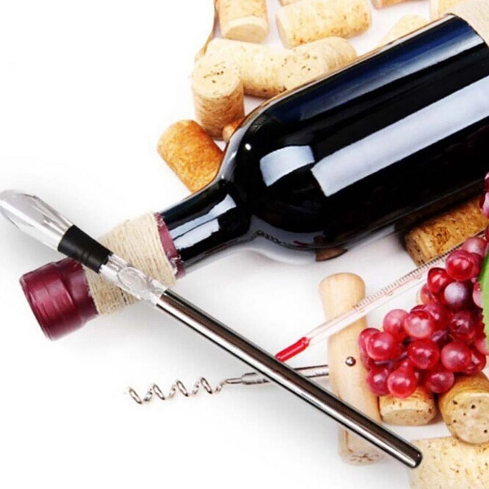 Wine Chiller Pour Spout and Aerator - Premium Barware - Just €14.95! Shop now at San Rocco Italia