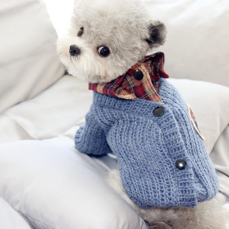 Back to School Cardigan for Your Dog or Cat | sizes S-XXL - Pet Clothing -  sanroccoitalia.it