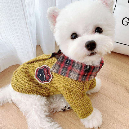 Back to School Cardigan for Your Dog or Cat | sizes S-XXL - Pet Clothing -  sanroccoitalia.it